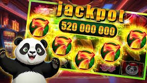 win566